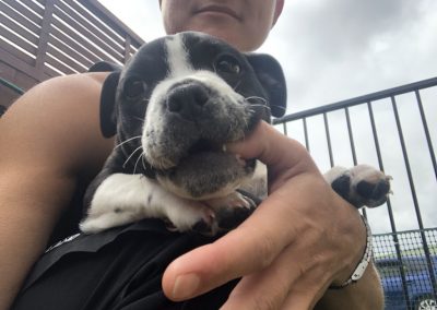 A pet cared for by Comfy Creatures Pet Minding in Whanganui