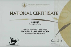 Equine - Level 4